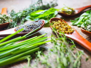 オーガニックハーブ大全｜自律神経・腸内環境・メンタルケアに効く使い方ガイド