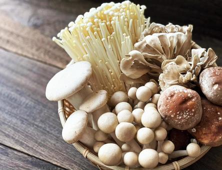 ビタミンD強化キノコで夜の免疫力アップ｜菌活とホルモンバランスを両立