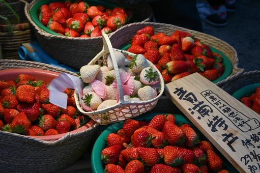 中国産のオーガニック食品は安全ですか？