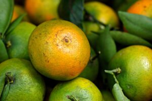 オーガニック製品の効果を実感するためのポイントは？