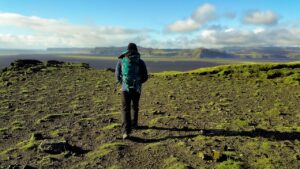 パルシステムのだしパックを使った美味しい料理レシピは？