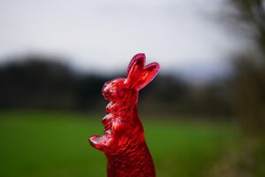 糖質オフのお菓子が買えるスーパーはどこ？