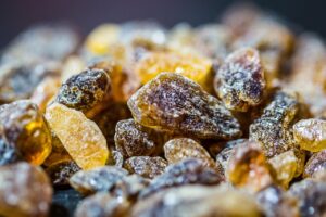 サトウキビと砂糖の違いについて知っておくべきことは？