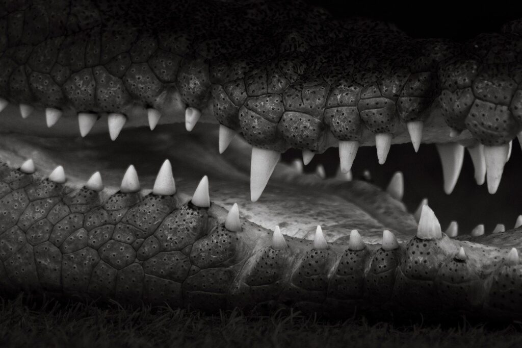 食品添加物の危険性ランキングとは何ですか？