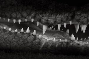 食品添加物の危険性ランキングとは何ですか？