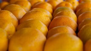 オーガニック果物に含まれる栄養素とは何ですか？