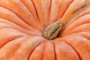 有機野菜の効果は健康にどのように影響するのか？