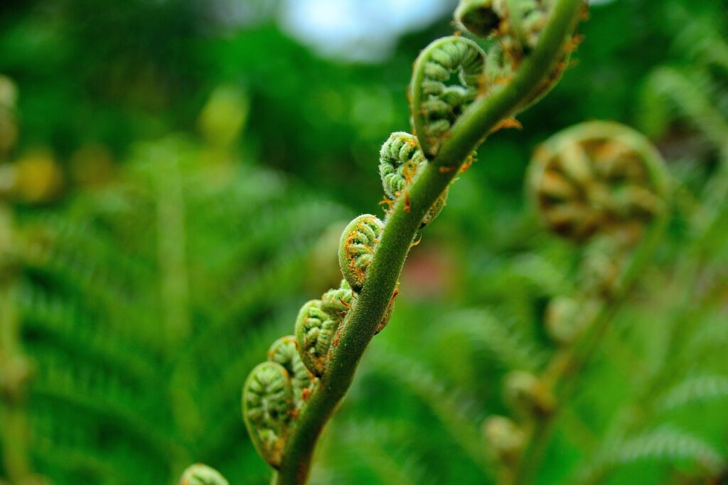 有機JASと無添加の違いは何ですか？