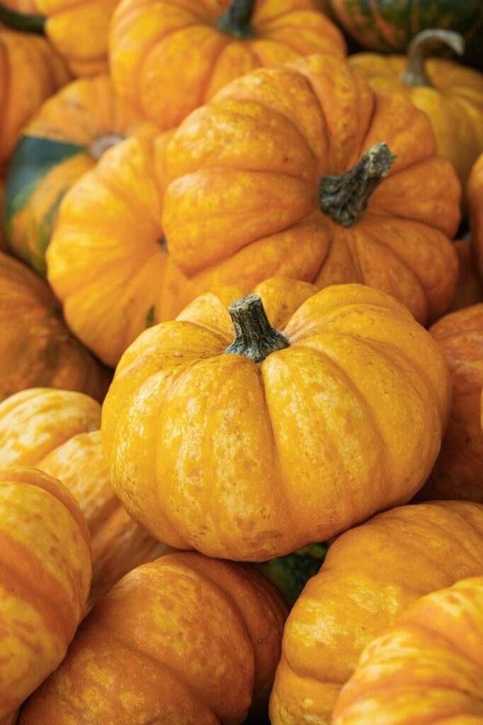 有機果物の保存方法で長持ちさせるコツは？