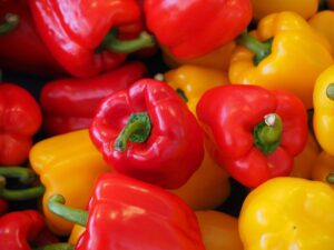 有機野菜の宅配を初心者が利用する際のポイントは？
