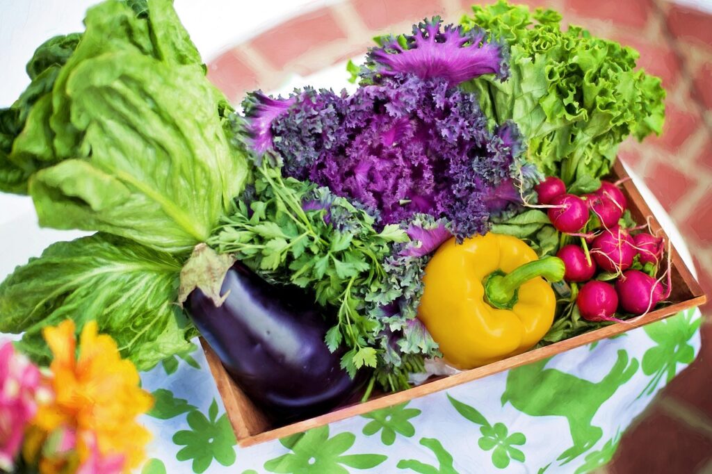 オーガニック野菜不足を簡単に解消する方法は？
