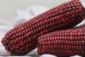 有機野菜がもったいないと感じた時の効果的な対策は？