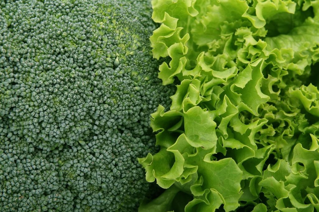 有機野菜を使ったサラダの簡単レシピは？