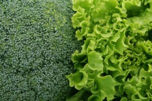 有機野菜を使ったサラダの簡単レシピは？